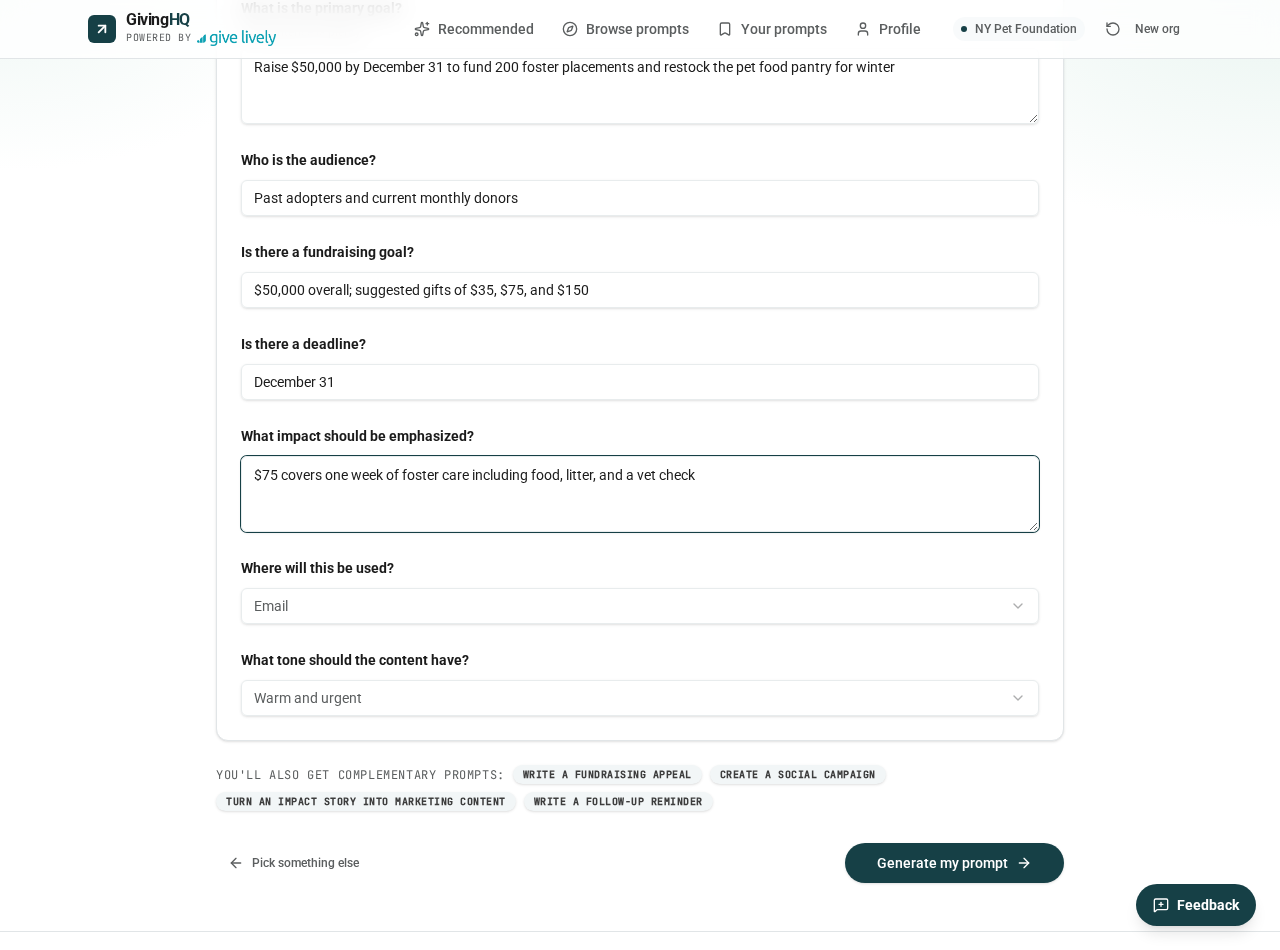 The task context questions for a year-end campaign, answered for NY Pet Foundation